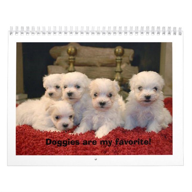 Maltese Puppies Calendar (Cover)