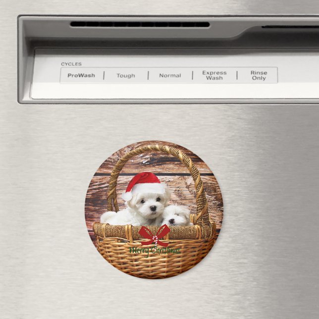 Maltese Puppies in a Christmas Basket Magnet (In Situ (Dishwasher))