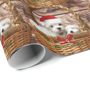 Maltese Puppies in a Christmas Basket Wrapping Paper