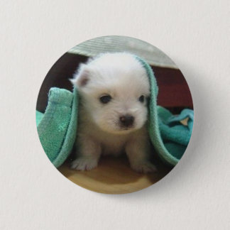 maltese puppy 6 cm round badge