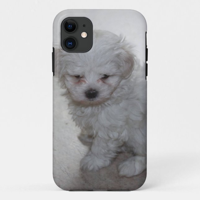 Maltese Puppy (9 Months Old) Case-Mate iPhone Case (Back)