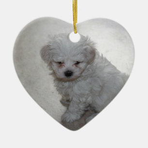 Maltese Puppy (9 Months Old) Ceramic Tree Decoration
