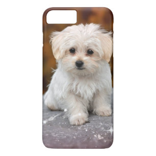 Maltese Puppy...Adorable Case-Mate iPhone Case