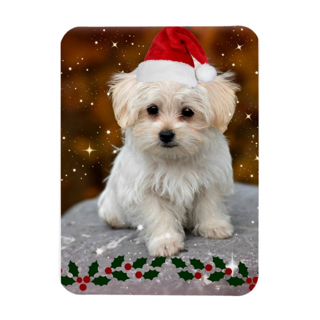 Maltese Puppy at Christmas Magnet (Vertical)
