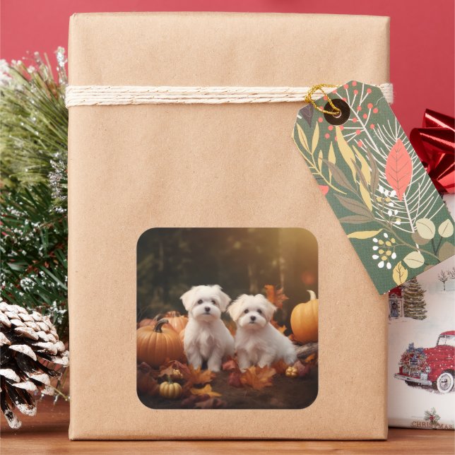 Maltese Puppy Autumn Delight Pumpkin  Square Sticker (Holiday)