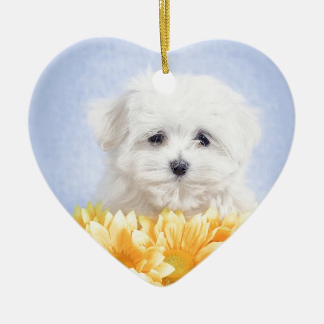 Maltese puppy ceramic tree decoration (Front)
