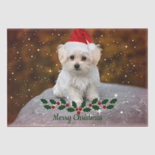 Maltese Puppy Christmas Tissue Paper