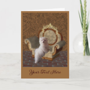 Maltese Puppy Dog Art Photo Personalized Card