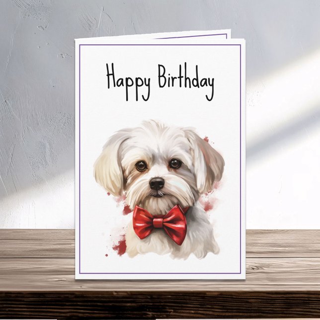 Maltese Puppy Dog Birthday Card (Creator Uploaded)