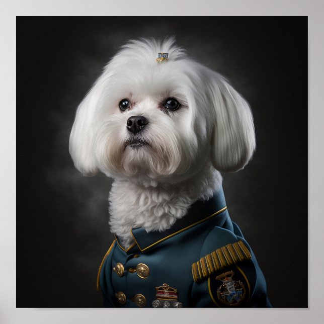 Maltese Puppy Dog Fancy Military Portrait Poster (Front)