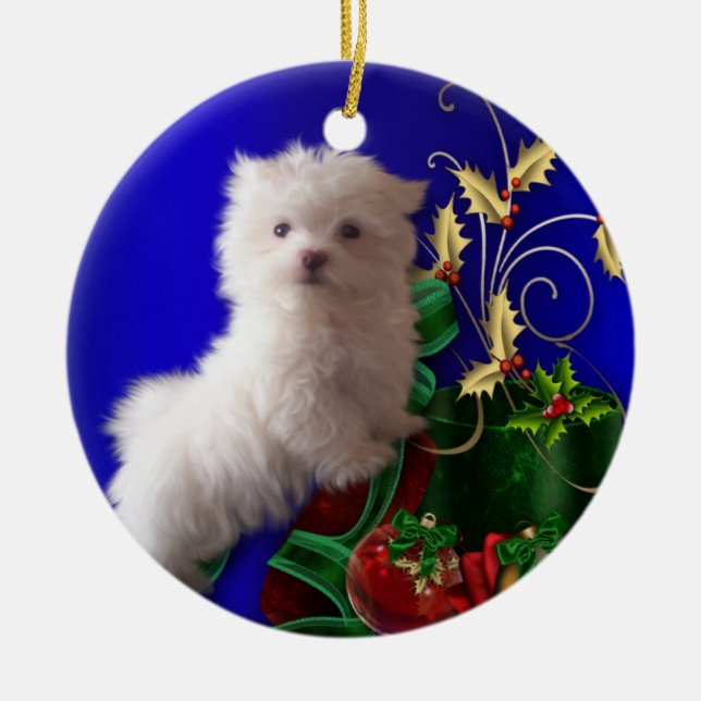 Maltese Puppy Dog Ornament (Front)