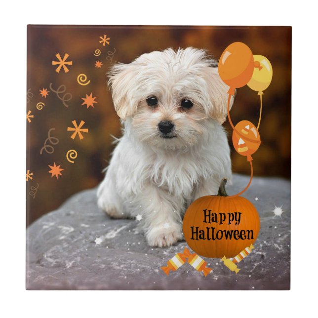 Maltese Puppy, Halloween Celebration Tile (Front)