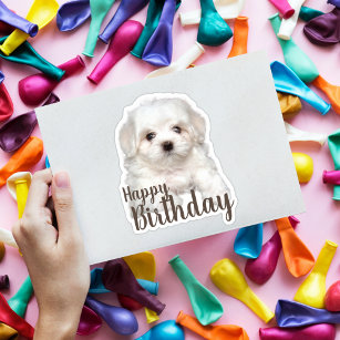 Maltese Puppy Happy Birthday Sticker