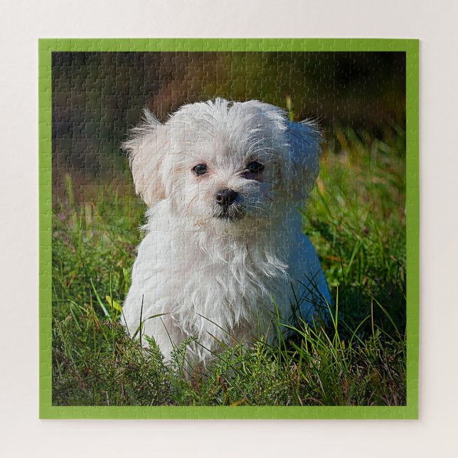 Maltese Puppy in the Grass Jigsaw Puzzle (Vertical)