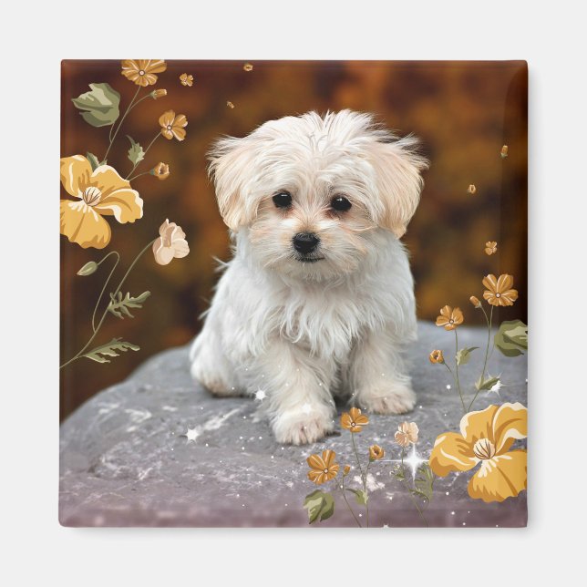 Maltese Puppy, oh so cute, Magnet (Front)
