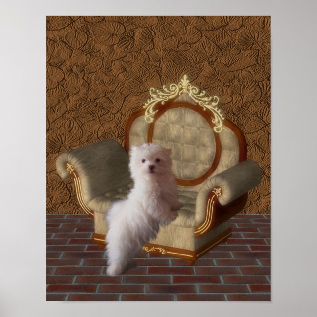 Maltese Puppy On Chair Dog Art Poster (Front)