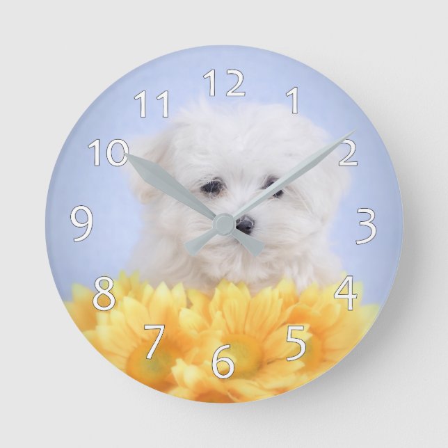 Maltese  puppy round clock (Front)