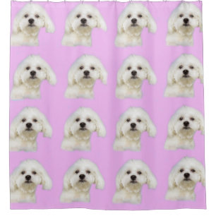 Maltese puppy shower curtain