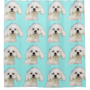 Maltese puppy shower curtain