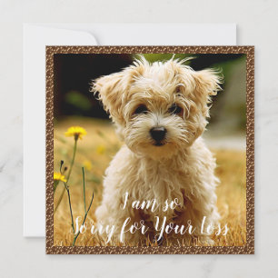 Maltese Puppy Sympathy Card