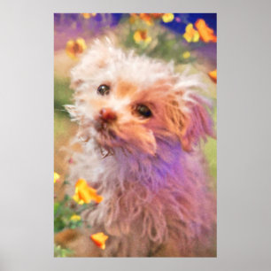 Maltese Rescue Puppy 2 LOOKING THROUGH TEARS Poster