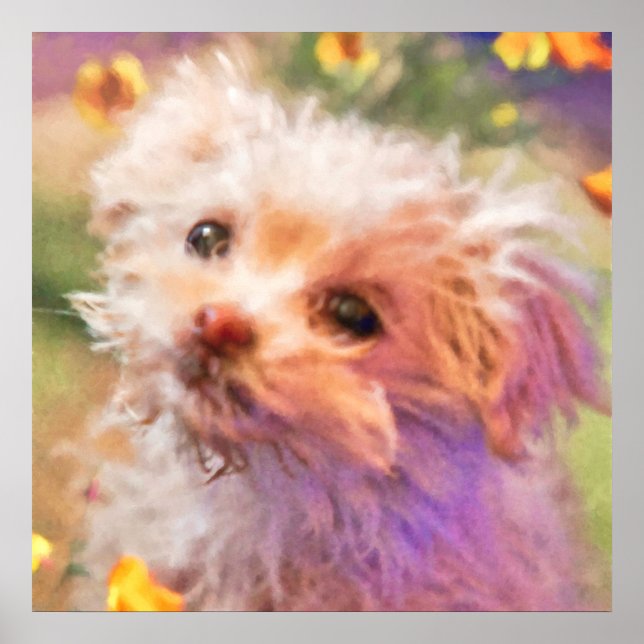 Maltese Rescue Puppy 2 LOOKING THROUGH TEARS Poster (Front)