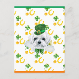 Maltese Shamrock St. Patricks Day Holiday Postcard