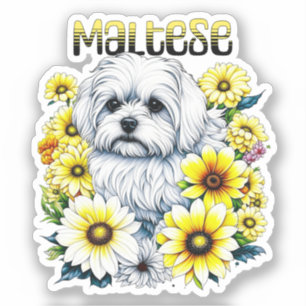 Maltese Small :White Dog Bree in Yellow Flowers