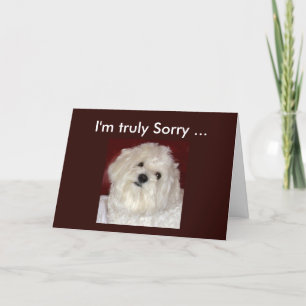 Maltese Sympathy Card for Any Bereavement Occasion