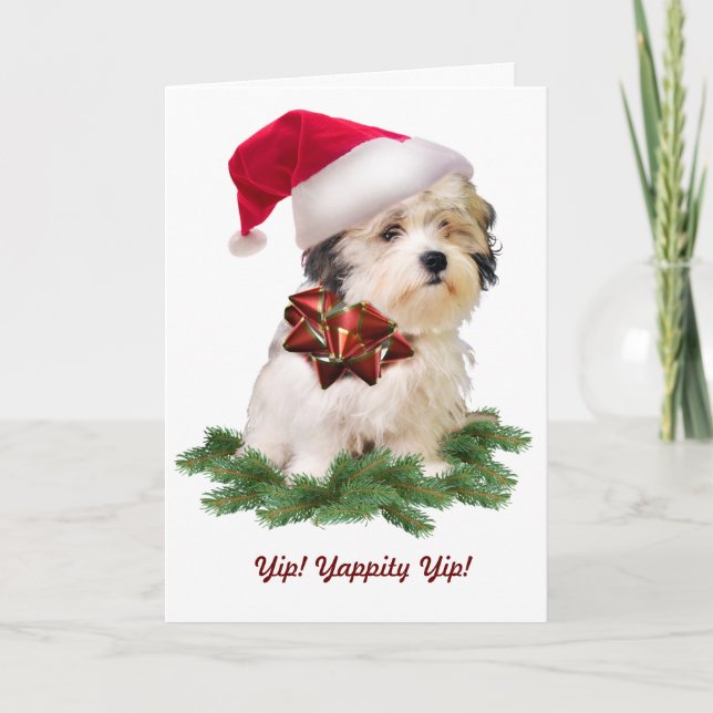 Maltese Theme Christmas Card (Front)