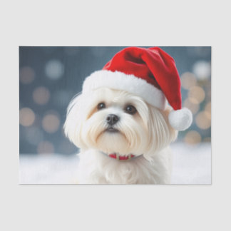 Maltese Tissue Paper