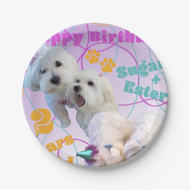 Maltese Twins Plates (Front)