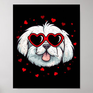 Maltese Valentine Heart Cute Dog Lovers Poster