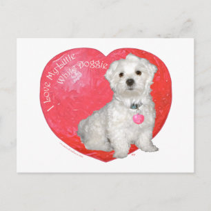 Maltese Valentine's Day Holiday Postcard