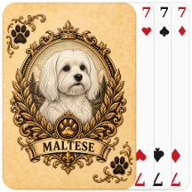 Maltese, Vintage Heritage Dog