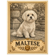 Maltese, Vintage Heritage Dog