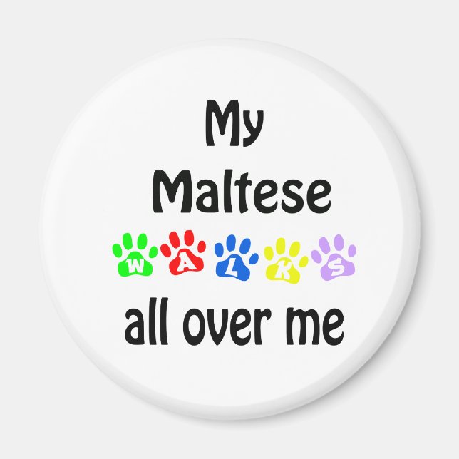 Maltese Walks Design Magnet (Front)