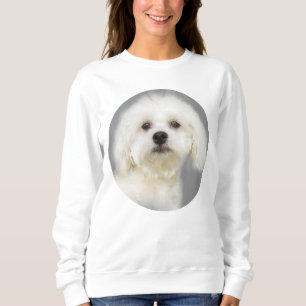 Maltese white puppy sweatshirt