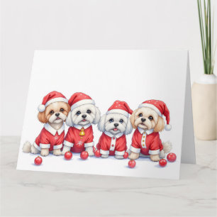 Malti Tzu Christmas Dress Santa Hat Card