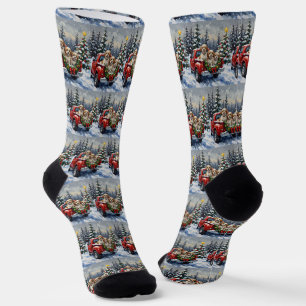 Malti-Tzu Christmas Red Truck Holiday Socks