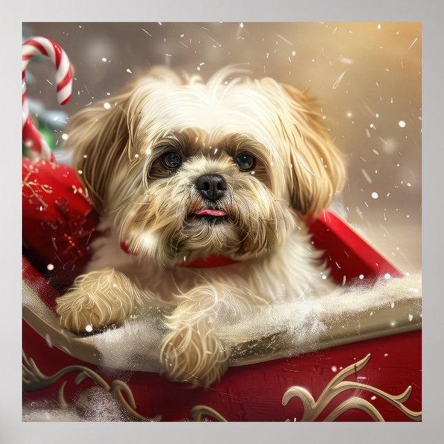 Malti Tzu Dog Christmas Festive Poster (Front)