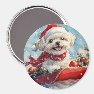 Malti Tzu  Dog in Sledge Let it Snow Christmas Magnet