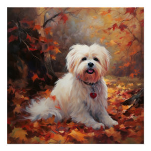 Malti Tzu in Autumn Leaves Fall Inspire Poster