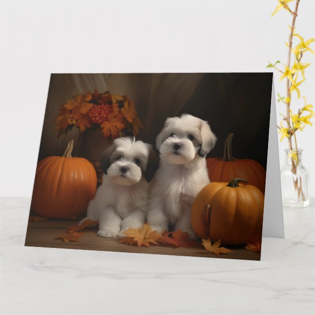 Malti tzu Puppy Autumn Delight Pumpkin Card (Yellow Flower)