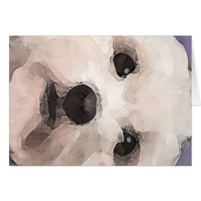 Maltipoo (Front Horizontal)