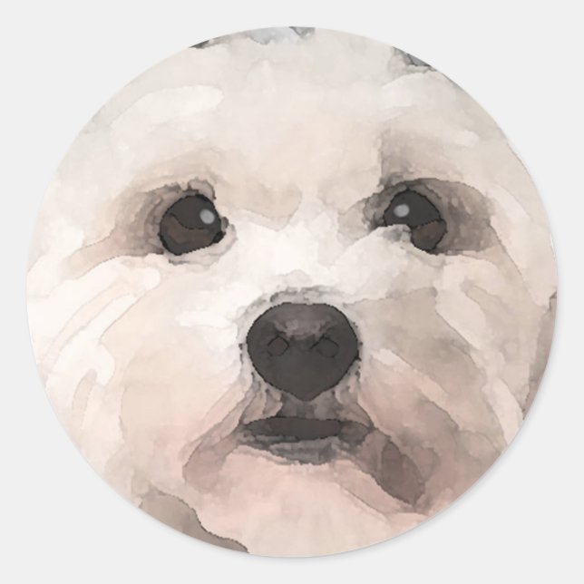 Maltipoo Classic Round Sticker (Front)