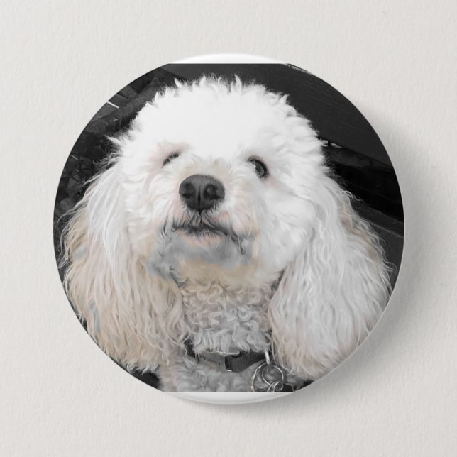 MaltiPoo dog buttons (Front)