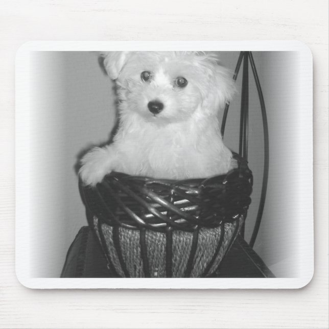 MaltiPoo Products Mouse Pad (Front)