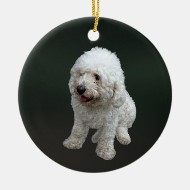 Maltipoo Puppy Ceramic Tree Decoration (Front)
