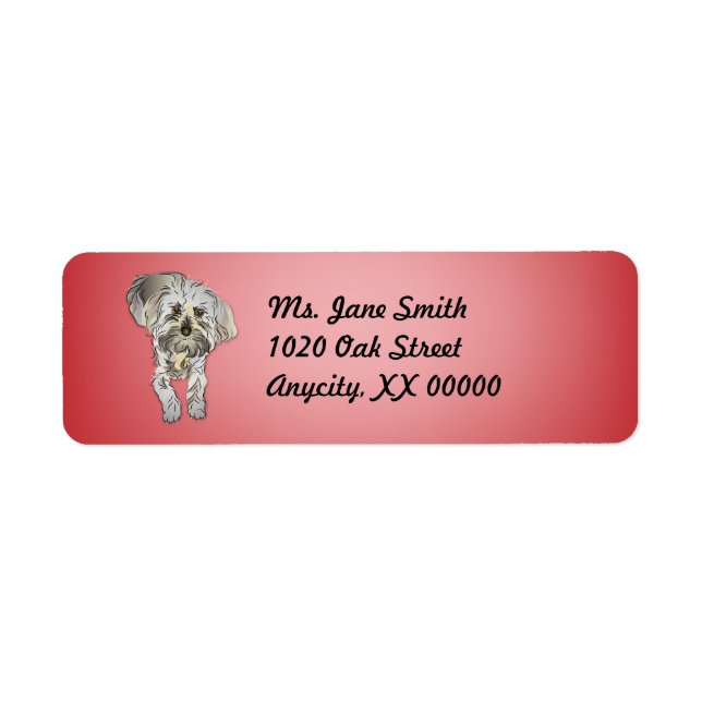 Maltipoo Puppy on Pink (Front)